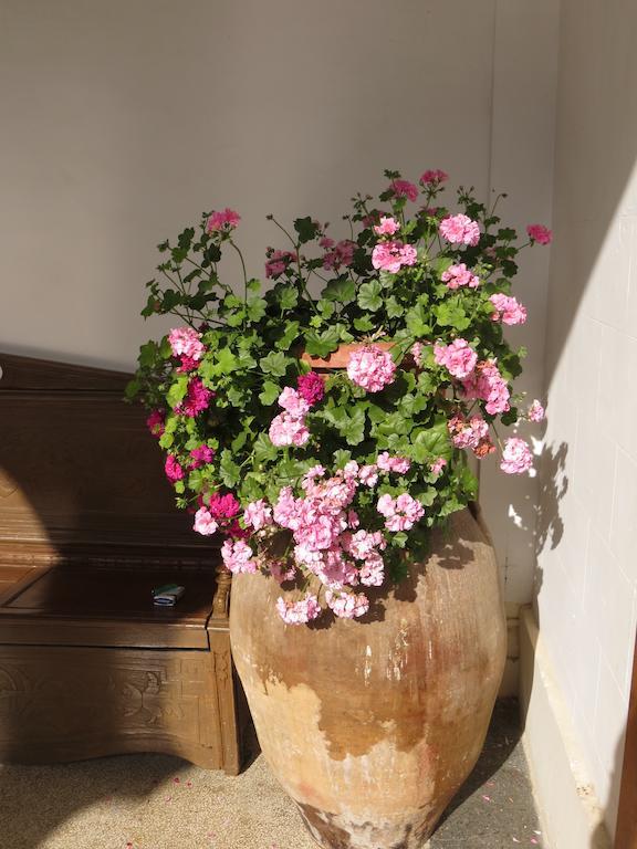 B&B Casa Cavalli Lucera Luaran gambar